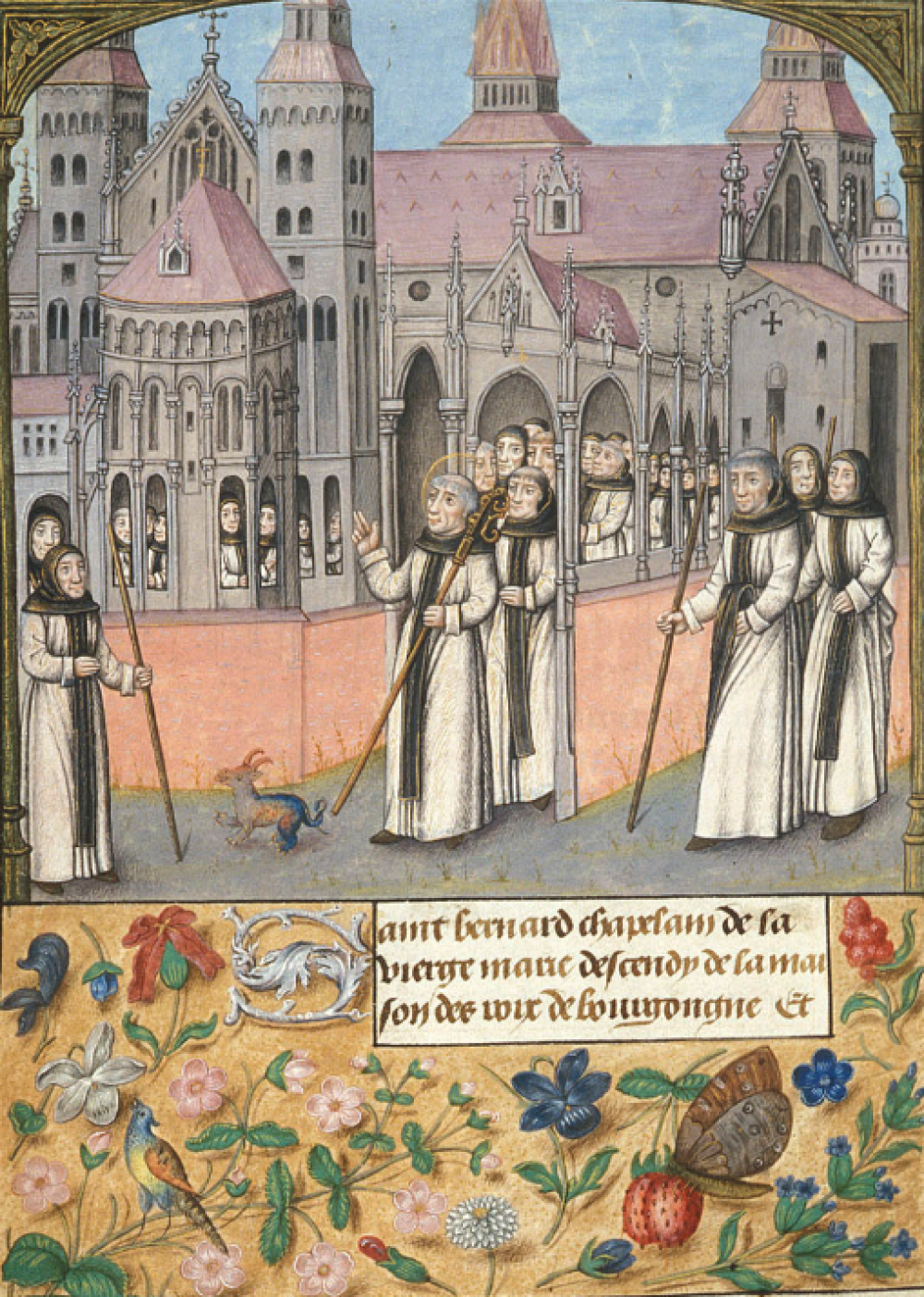 The Cistercian Companions of Saint Bernard [CCSB]